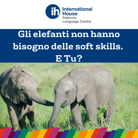 Gli elefanti non hanno bisogno di soft skills. E tu?